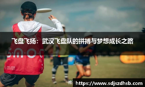 球速体育平台入口