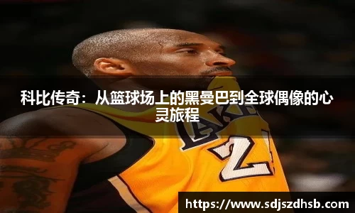 球速体育