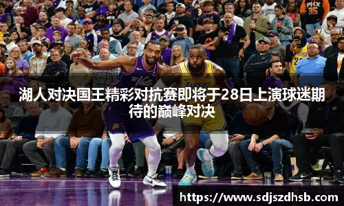 球速体育平台入口