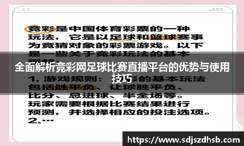 球速体育